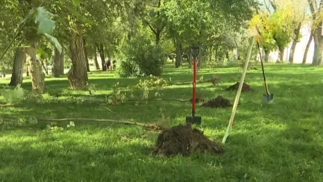 В Астрахани обсудили мобилизацию сил ответственных структур города