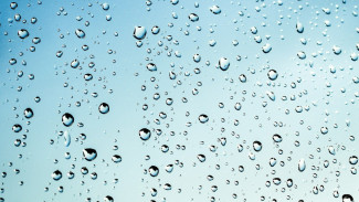 В Астраханской области 13 апреля прогнозируется дождь и сильный ветер