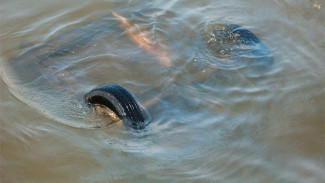 В Астраханской области спасли двух человек из грузовика, упавшего в реку