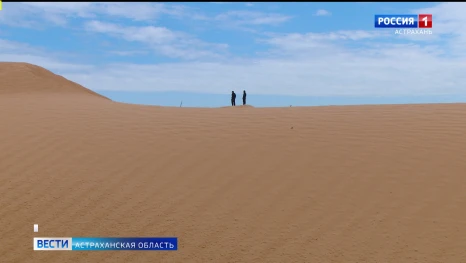 Как в Астраханской области борются с песками и восстанавливают пастбища