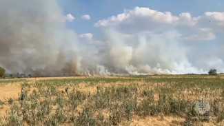 Под Астраханью ликвидируют крупное возгорание сухой травы