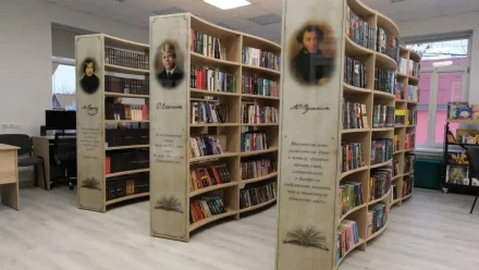 В астраханские библиотеки поступило 9 тысяч новых книг