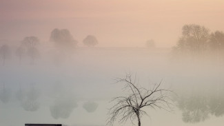 Какая погода прогнозируется 1 февраля в Астрахани