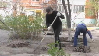 В третьем дне чистоты в Астрахани участвовало около 2 тысяч горожан