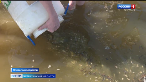 Волонтёрское движение "Голубой патруль" продолжает свою деятельность в нашем регионе