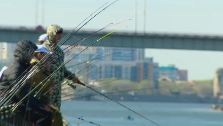 В Астрахани отметят 25-летие фестиваля "Вобла"