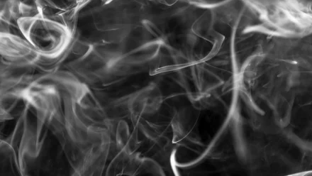 Запах гари из-за загорания камыша в Казахстане дошёл до Астрахани