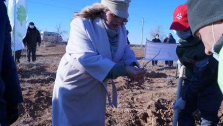 Анна Семенович поучаствовала в посадке деревьев в Астраханской области