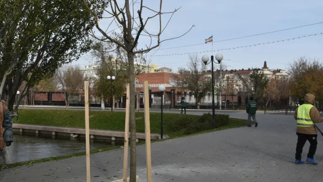 У Лебединого озера в Астрахани посадили деревья-крупномеры
