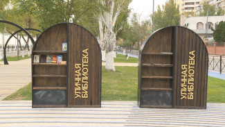 Уличная библиотека на Комсомольской набережной пользуется популярностью