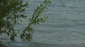 Прогнозируется ли наводнение в Астраханской области?