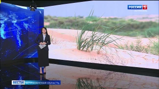 Пастбище под Астраханью превращается в пустыню