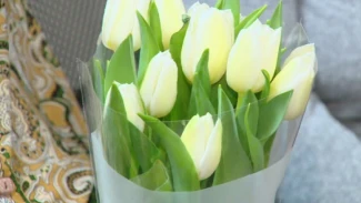 В Астраханской области готовятся к 8 Марта