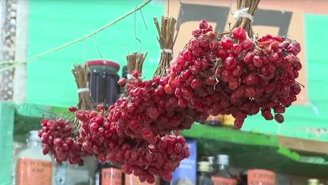 Есть ли в Астраханской области народные целители и травники