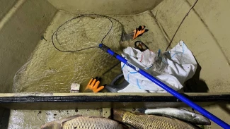 В Астраханской области полицейские задержали рыбаков с электроудочками