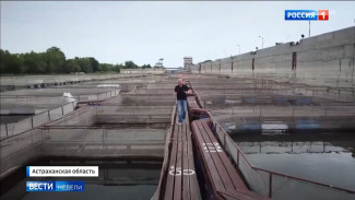 В программе «Вести недели» показали репортаж об Астраханской области