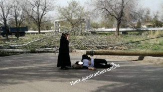 СК проводит проверку после падения столба на 23-летнего парня в Астрахани