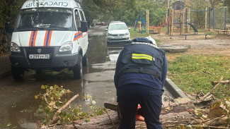 В Астрахани спасатели убрали с улицы упавшее дерево