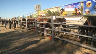 В Астрахани прошёл масштабный агрофестиваль