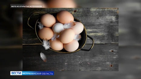 "Заметки учёных": Миф о яйцах