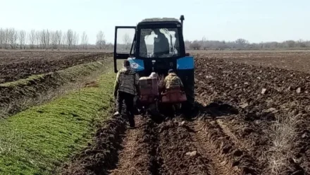 Астраханская область завершила масштабную высадку леса