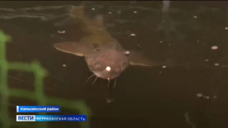 Председатель Думы Астраханской области посетил Камызякский район с рабочим визитом