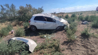 В Астраханской области заяц стал причиной ДТП