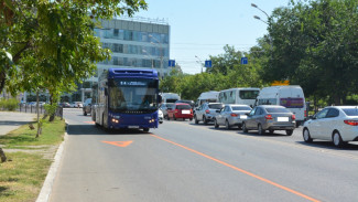 В Астрахани опиливают деревья по маршрутам автобусов