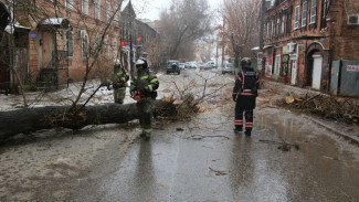 В Астраханской области 87 населённых пунктов остаются без света после непогоды