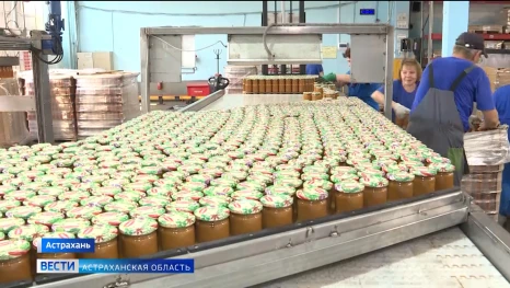 Где в Астраханской области начинается путь будущей кабачковой икры