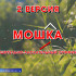 Рубрика "Слова" : мошка, тутник, солтень 