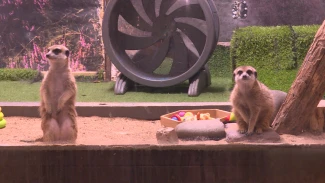 Астраханцы озабочены судьбой зоопарка "Баба Фрося"