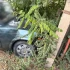В Астрахани в ДТП на улице Герцена погиб мужчина