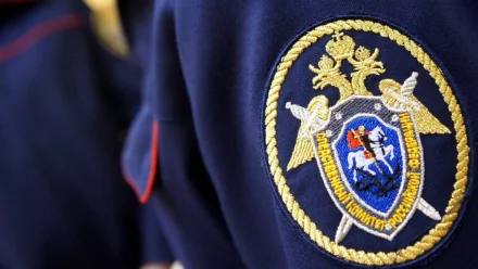 В Астрахани СК проводит проверку по утонувшему 10-летнему мальчику 