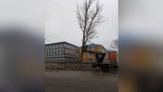 В Астрахани коммунальщики борются с последствиями праздничных гуляний