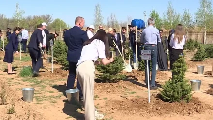 В Астрахани высадили аллею елей к 80-летнему юбилею Победы