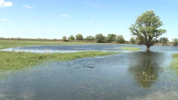 Завтра в Астраханской области начнётся весенний паводок