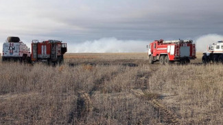 В Казахстане ликвидировали источник запаха гари в Астрахани