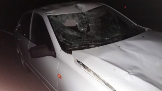 Под Астраханью на трассе сбили пешехода