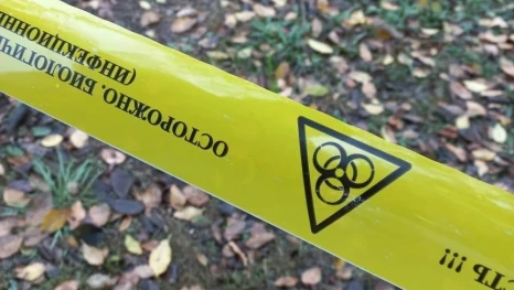 В Советском районе Астрахани снова выявлен очаг бешенства