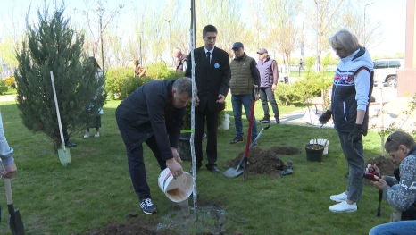 Представители астраханских СМИ высадили липы и кустарники на Комсомольской набережной