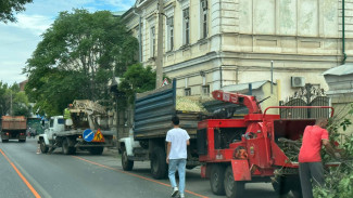 В Астрахани на улице Свердлова опилили 47 деревьев для проезда автобусов