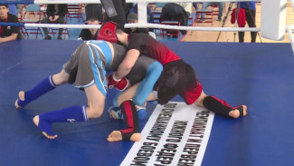 В Астрахани прошло первенство ЮФО по смешанным единоборствам