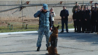 В Астраханской области четвероногие сотрудники полиции продемонстрировали свои умения