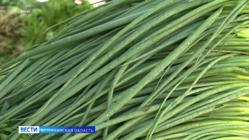 Какие продукты стали дешевле для астраханцев в середине июня