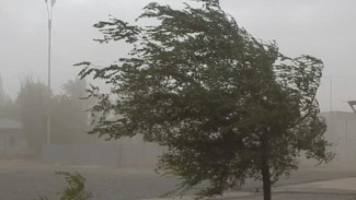 В Астраханской области 29 марта ожидаются сильный ветер и пыльная буря