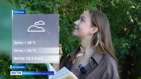 Какой будет погода в последнюю неделю августа?