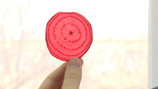 Магистранты АГТУ изготавливают полезные снеки из овощей и рыбы