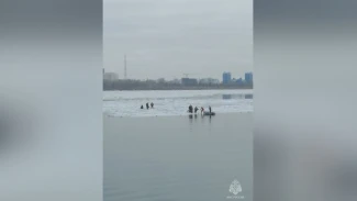 ЧП на Волге: в Астрахани на дрейфующей по реке льдине оказались люди