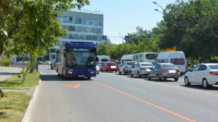 В Астрахани опиливают деревья по маршрутам автобусов